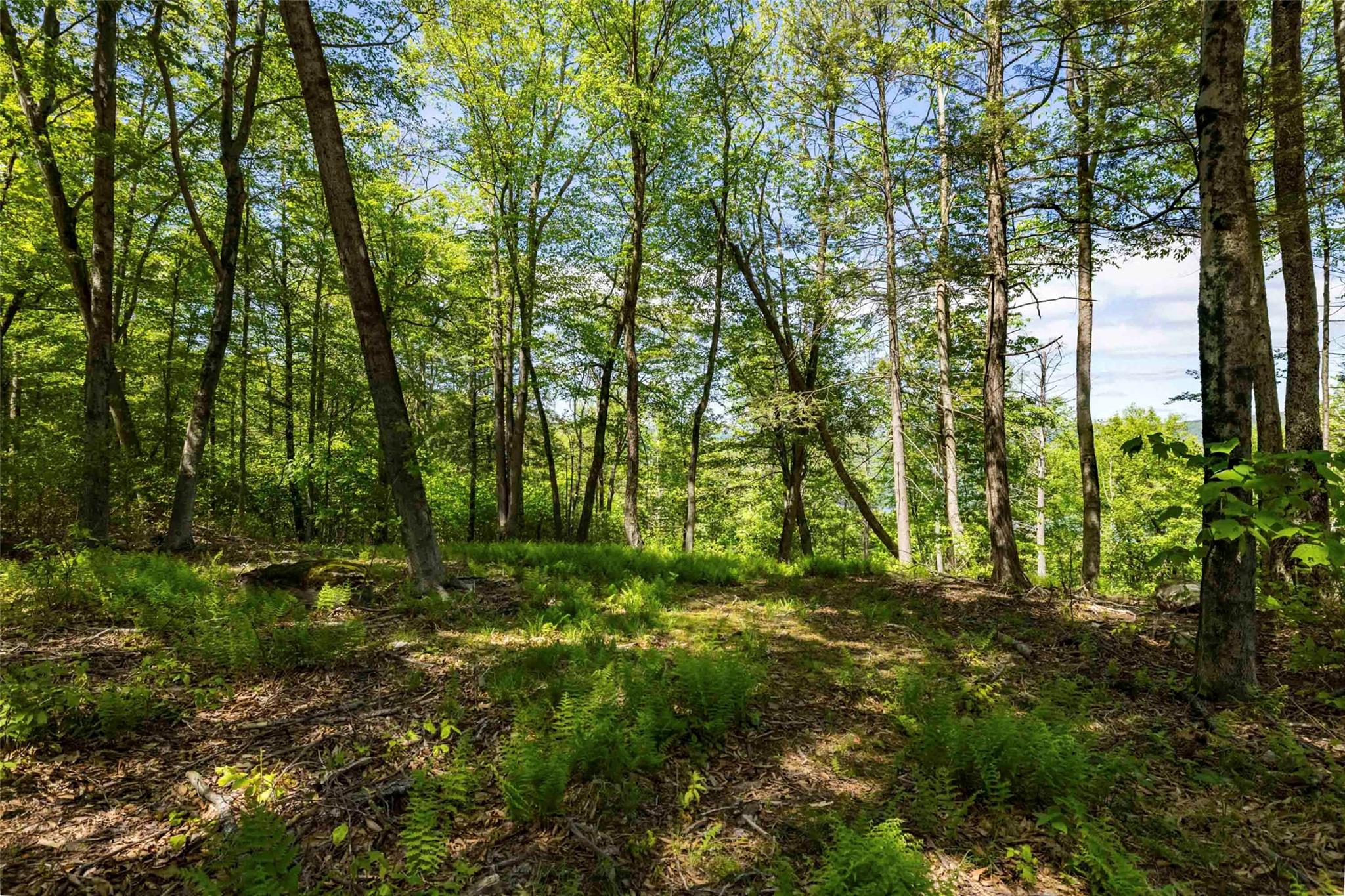1 Red Rock Road, Wawarsing, New York image 11
