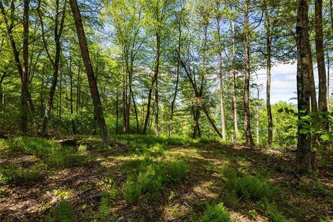 Tiny photo for 1 Red Rock Road, Wawarsing, NY 12489 (MLS # 873040)