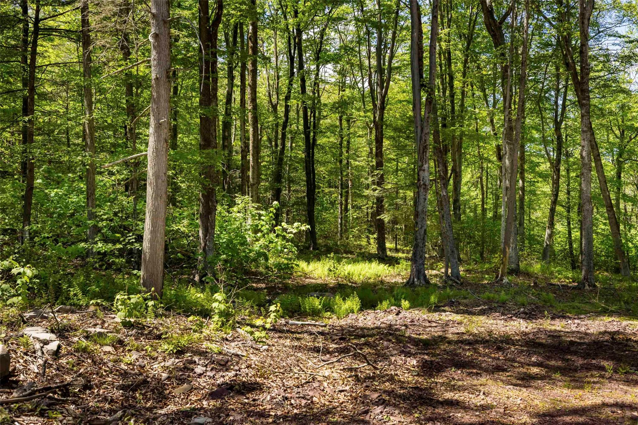 1 Red Rock Road, Wawarsing, New York image 10