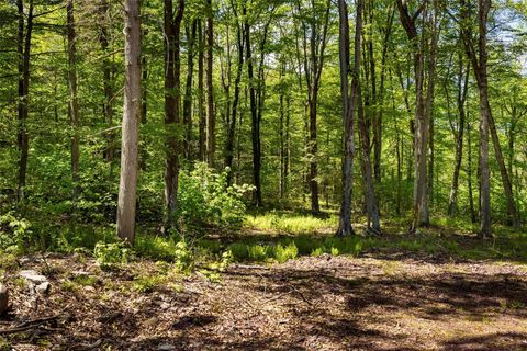 Tiny photo for 1 Red Rock Road, Wawarsing, NY 12489 (MLS # 873040)