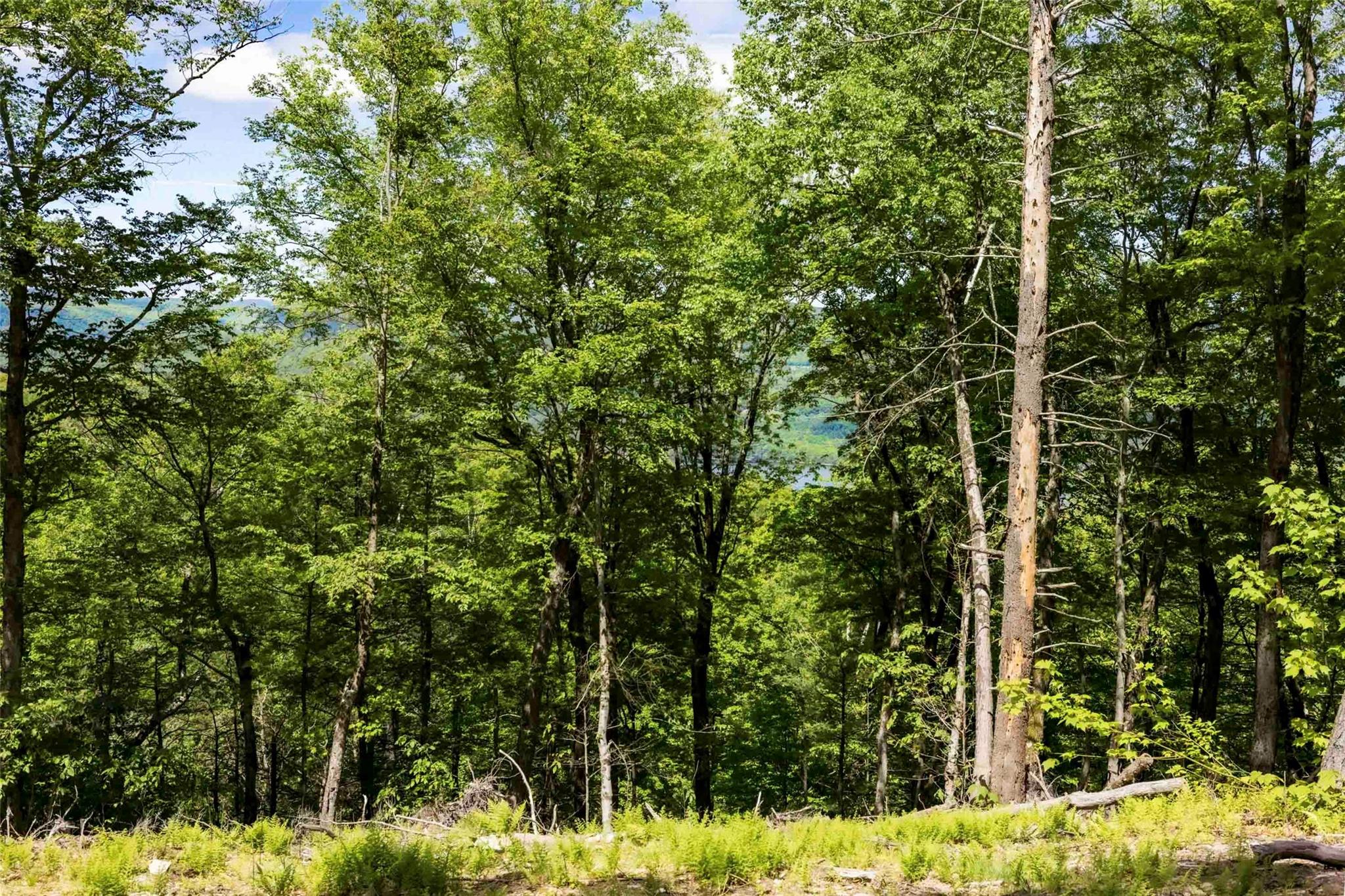 1 Red Rock Road, Wawarsing, New York image 14