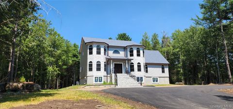 57 Haddock Road Monticello NY 12701
