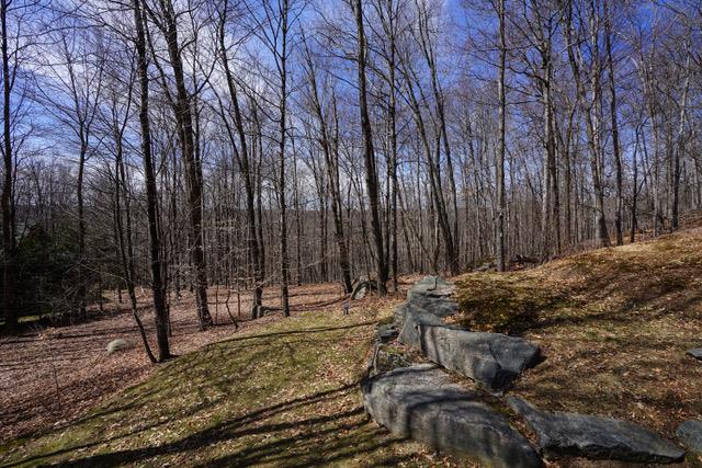 168 Meyer Road, Livingston Manor, New York image 23