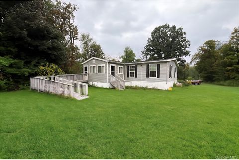 5 Depew Park Plattekill NY 12589