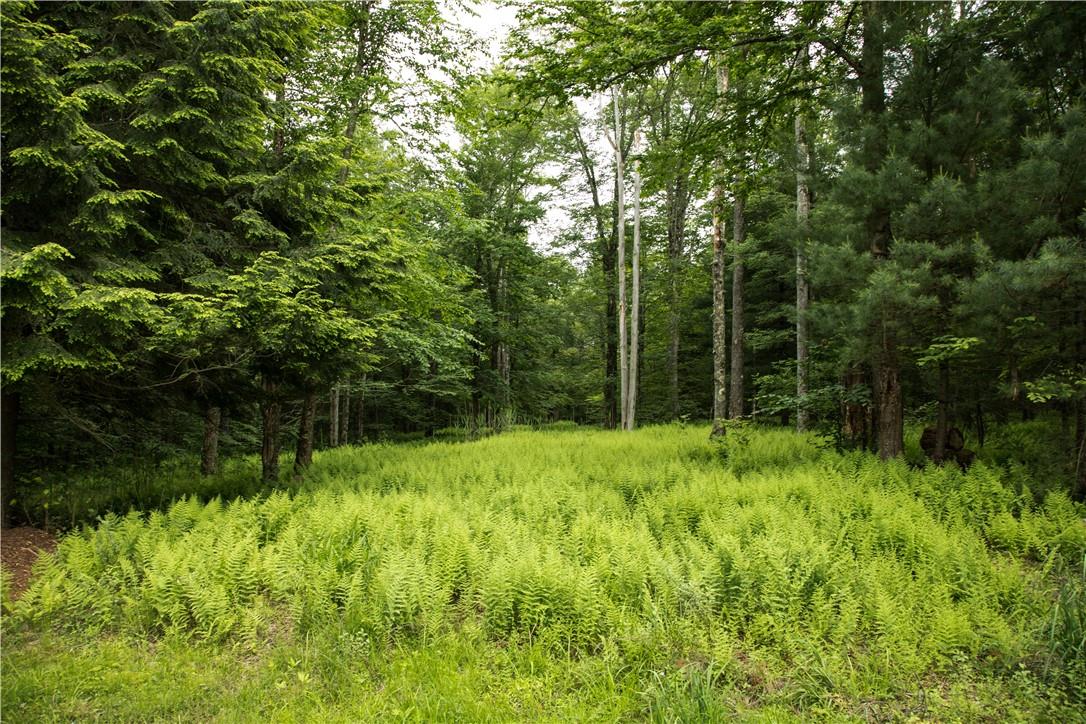 Misty Acres Lot 7 & 8, Bethel, New York image 7