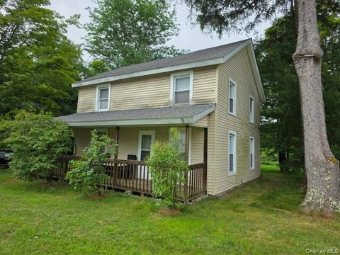 Homes For Sale - 3099 17b<br/> Cochecton, NY 12737