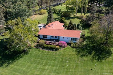 Homes For Sale - 523 Breezy Hill Road<br/> Hillsdale, NY 12529