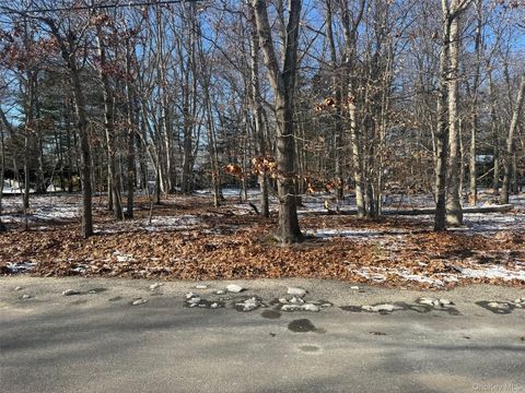 Vacant Land For Sale - 725 Youngs Avenue<br/> Mattituck, NY 11952