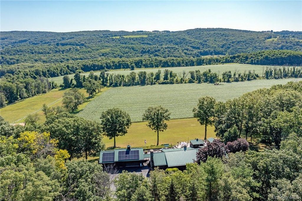 Photo of 617 BEAN RIVER Road, Pine Plains, NY 12567 (MLS # 987176)
