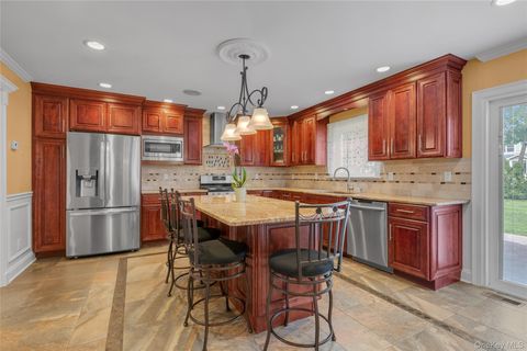 10 Field Avenue Hicksville NY 11801