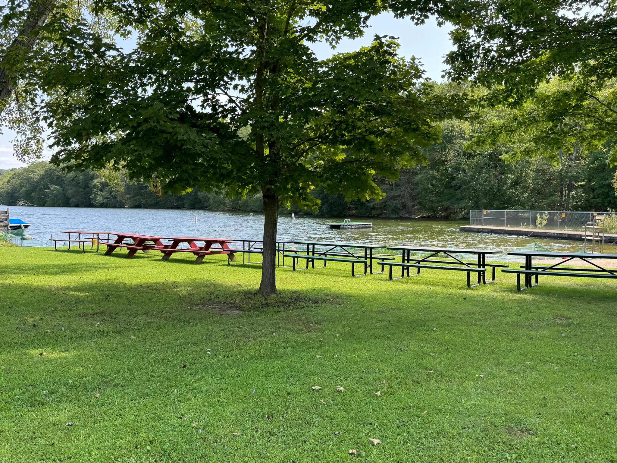6 Park Lane, Mahopac, New York image 23