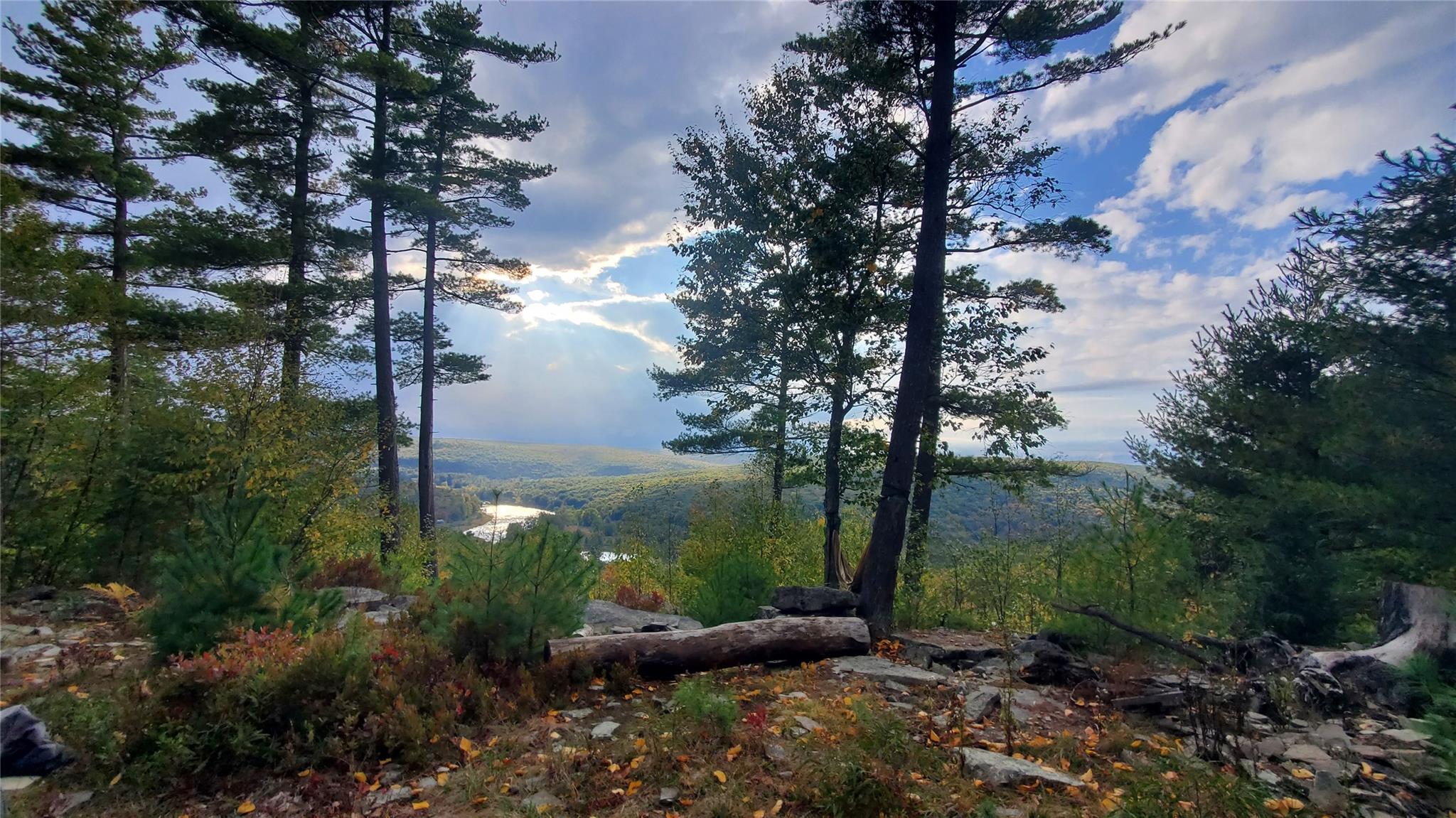 Lot 1 Eagle View Road, Narrowsburg, New York image 3