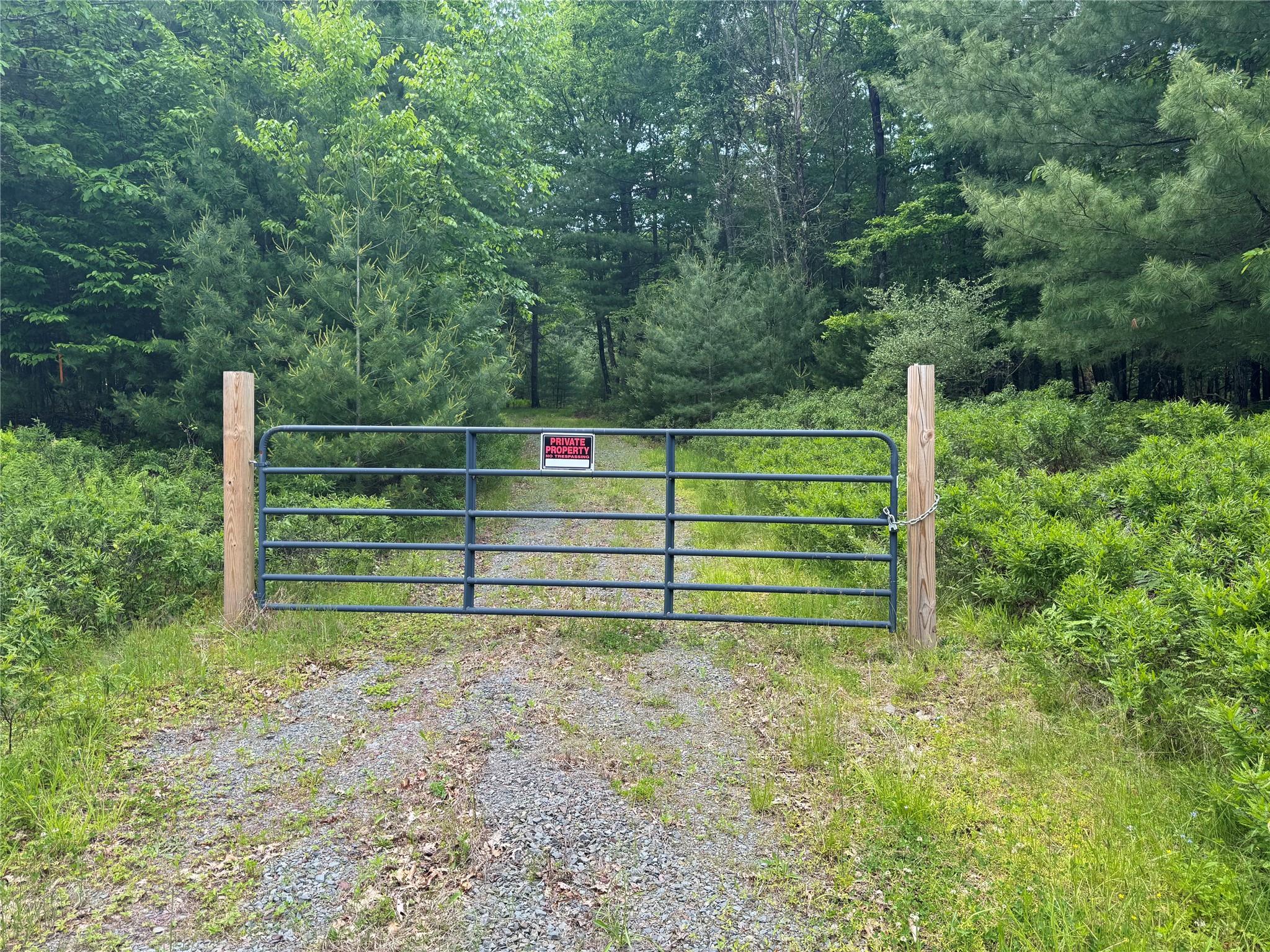 Lot 1 Eagle View Road, Narrowsburg, New York image 6