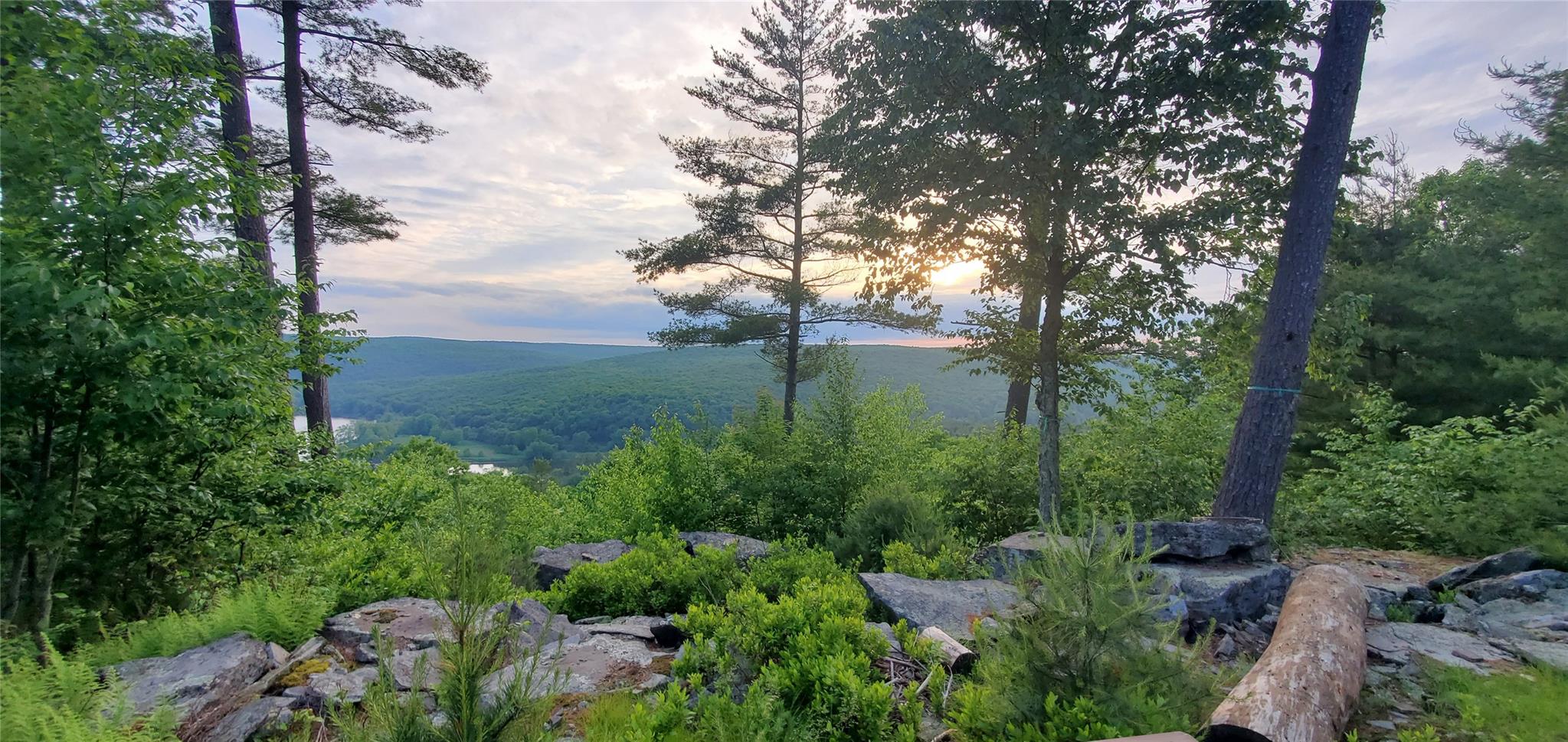 Lot 1 Eagle View Road, Narrowsburg, New York image 4