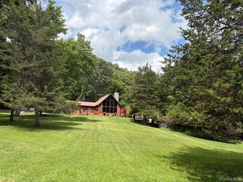Homes For Sale - 92 Twinshaven Road<br/> Napanoch, NY 12458