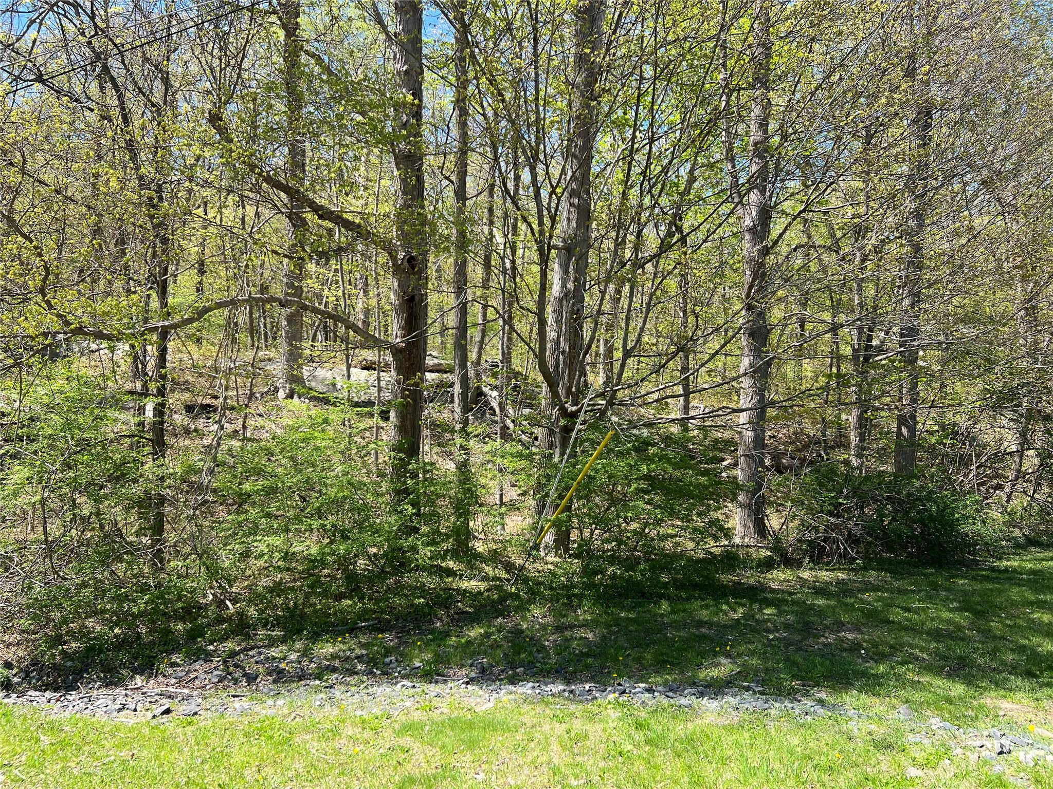 Stevens Lane, Tuxedo Park, New York image 5