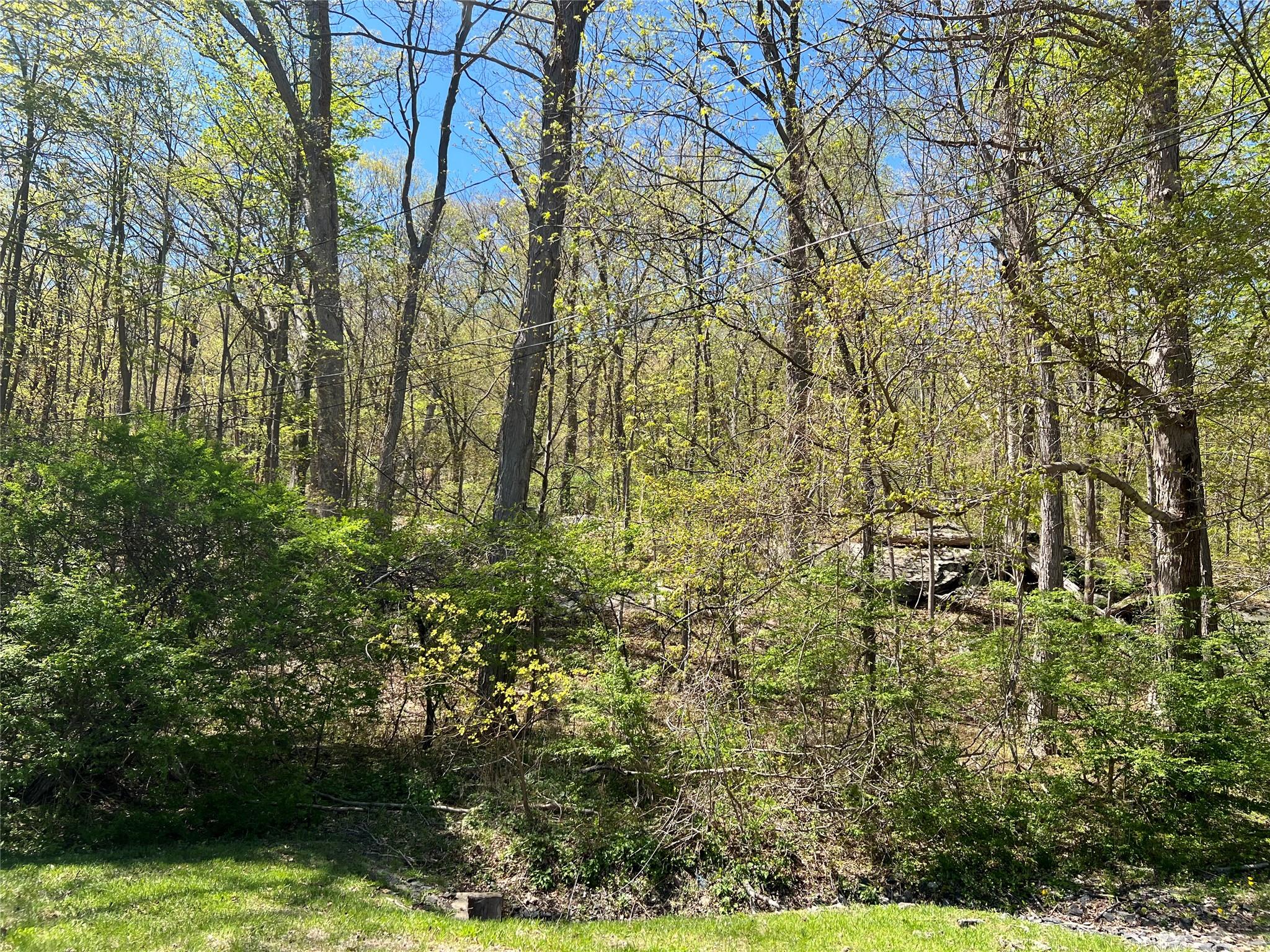 Stevens Lane, Tuxedo Park, New York image 7