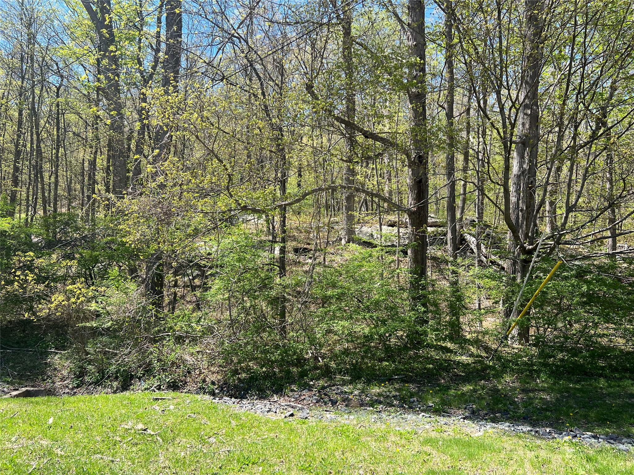 Stevens Lane, Tuxedo Park, New York image 6