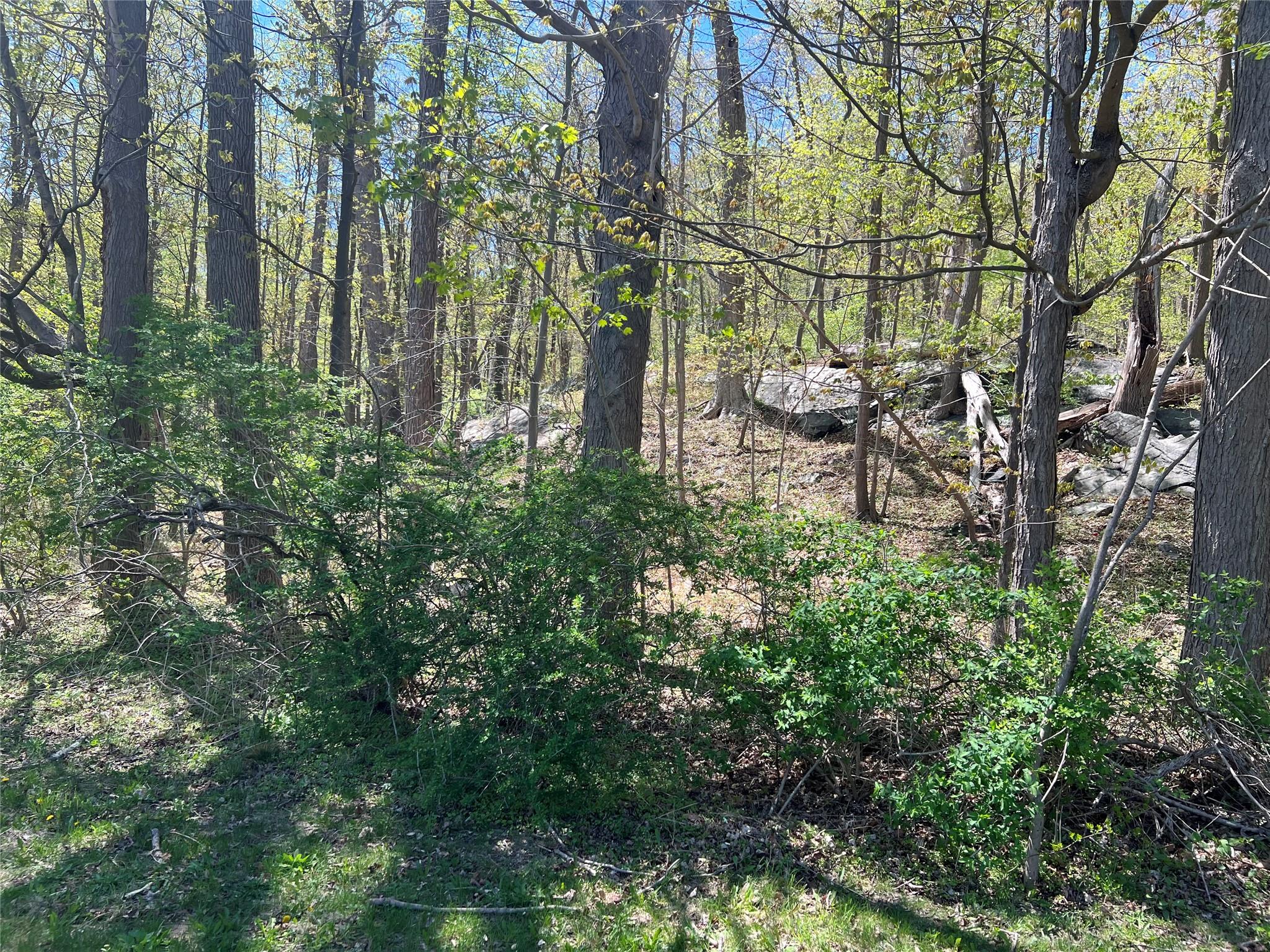 Stevens Lane, Tuxedo Park, New York image 4