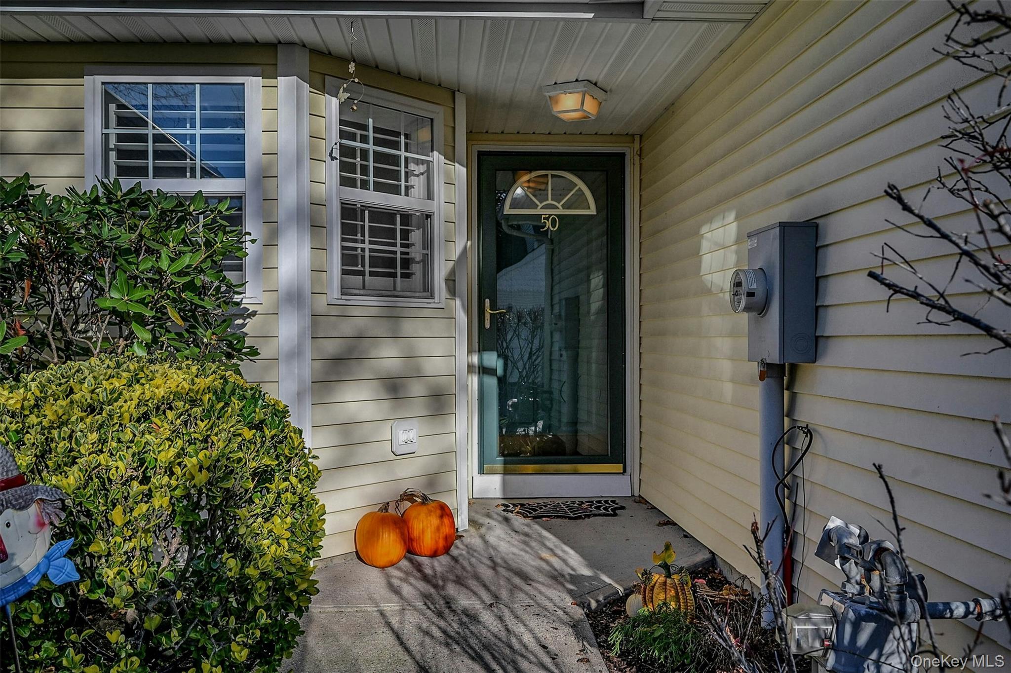 50 Strawberry Commons