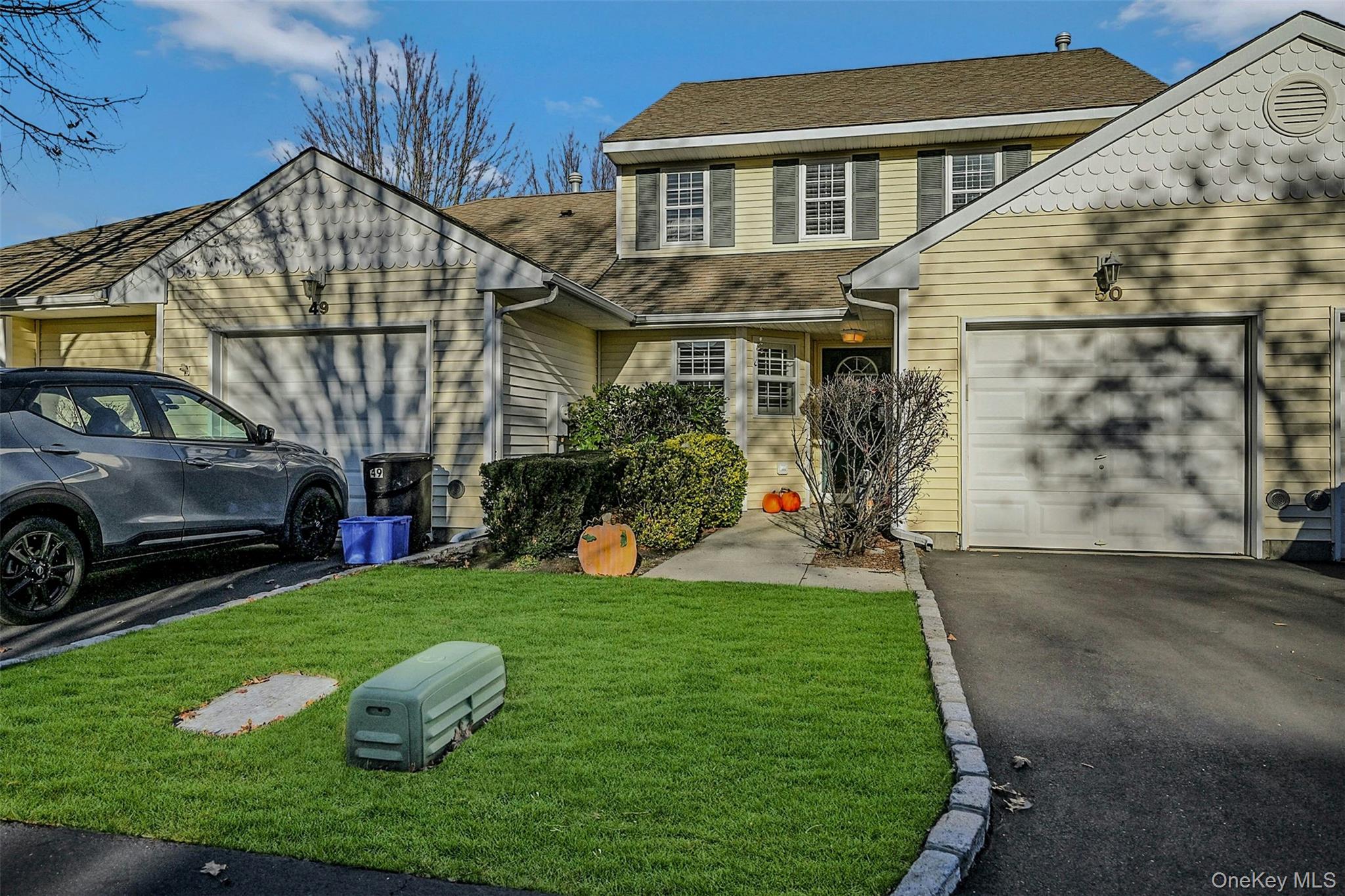 50 Strawberry Commons