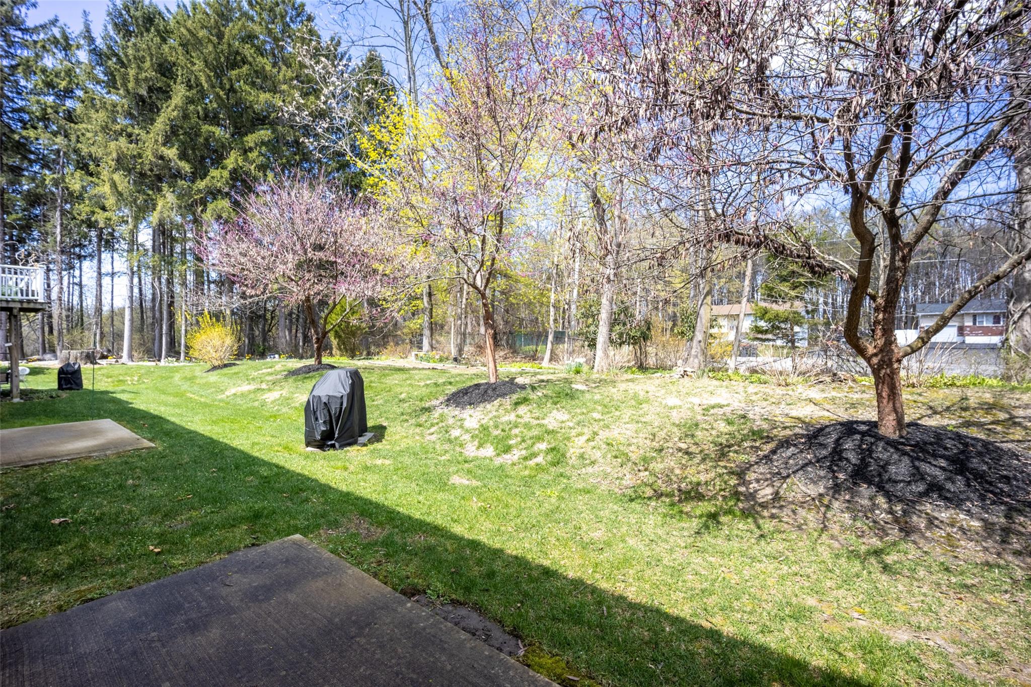 32 Halley Court, Poughkeepsie, New York image 5