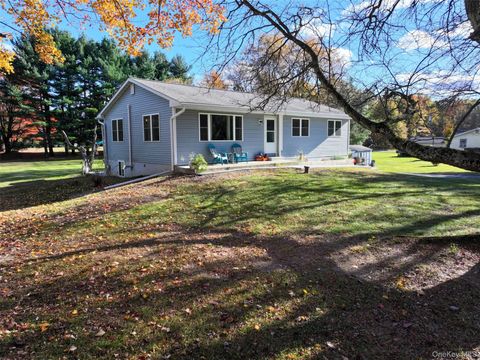 254 Long Lane Pine Bush NY 12721