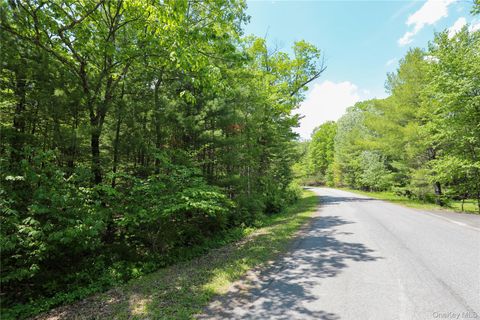 Vacant Land For Sale - TBD Bristol Hill Road<br/> Hurley, NY 12443