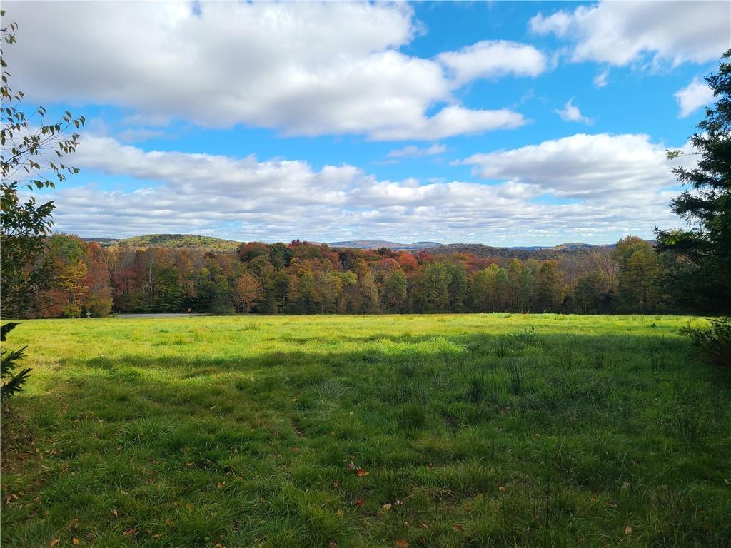 206 Yaun Road, Livingston Manor, New York image 3