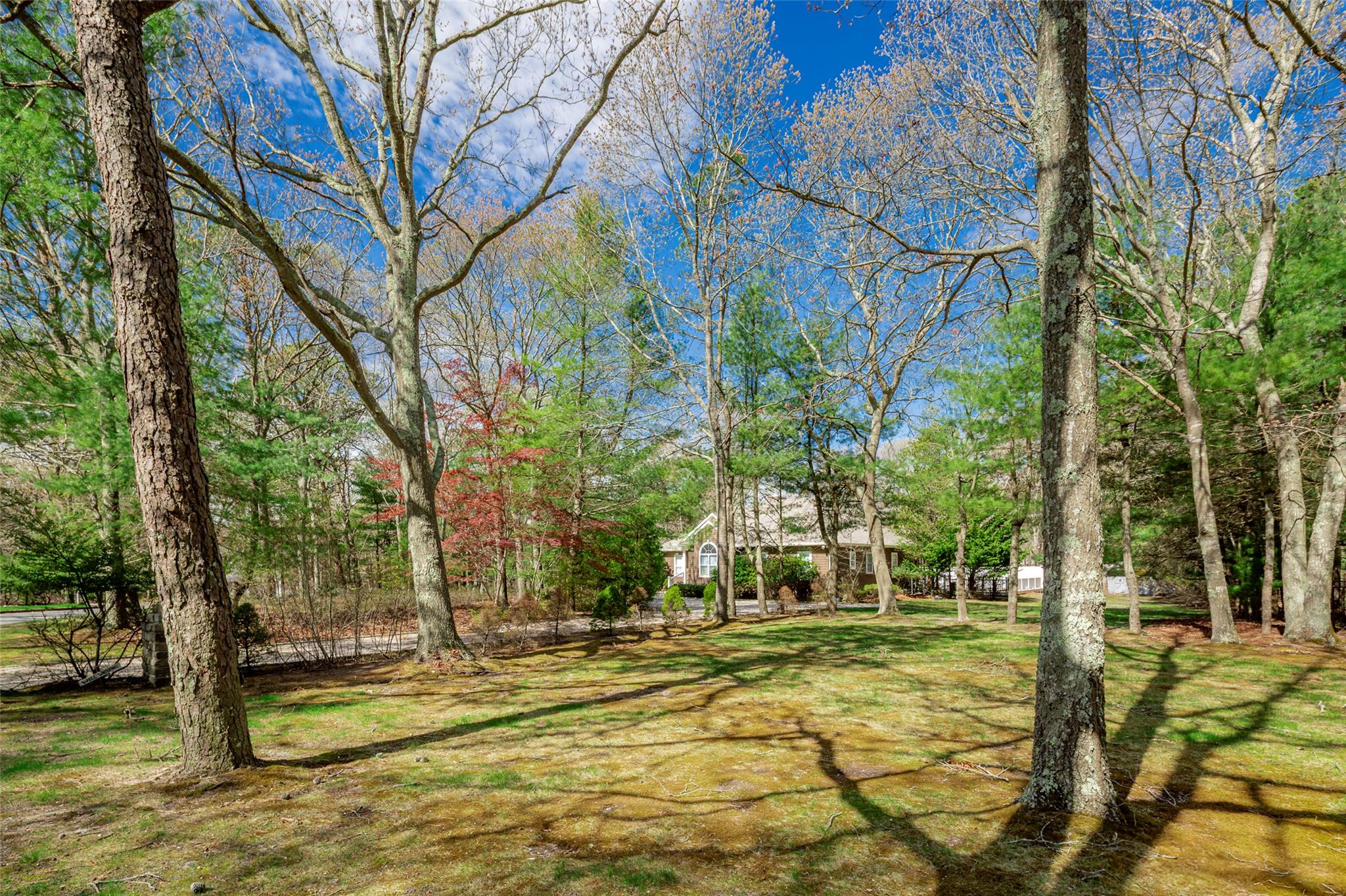 81 Lakeside Lane