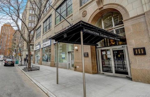 111 4th avenue 11L New York (Manhattan) NY 10003