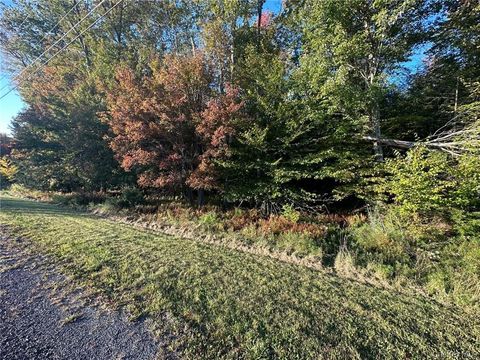 Vacant Land For Sale - Ulster Heights Road<br/> Fallsburg, NY 12733