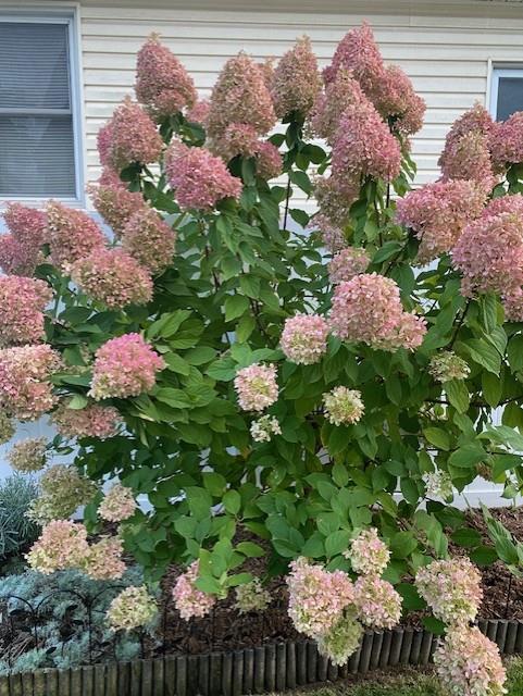 44 Croyden Street, Malverne, New York image 32