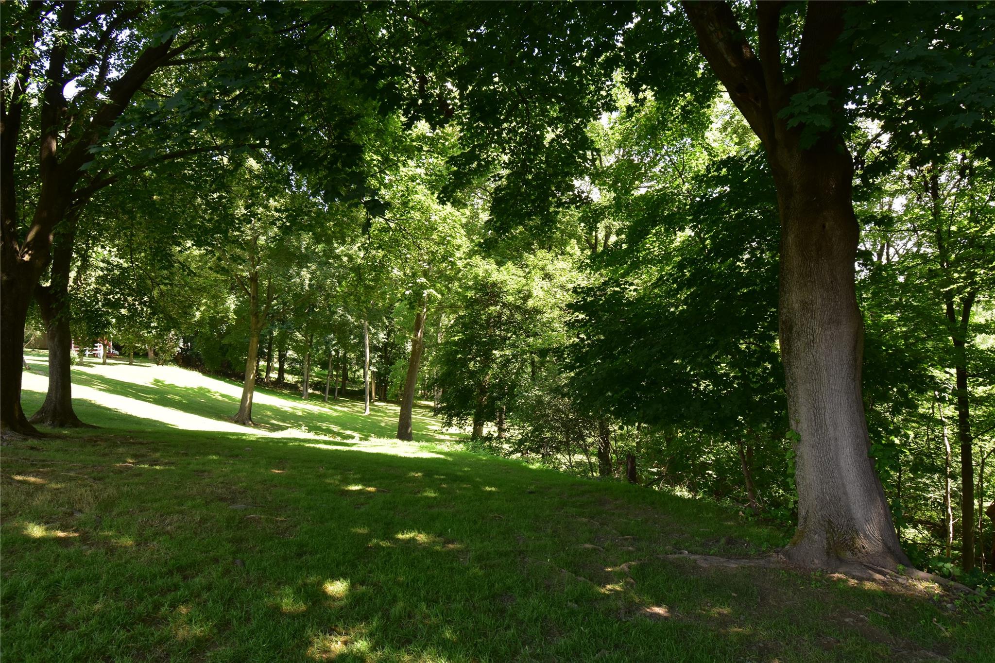 Stewart Avenue