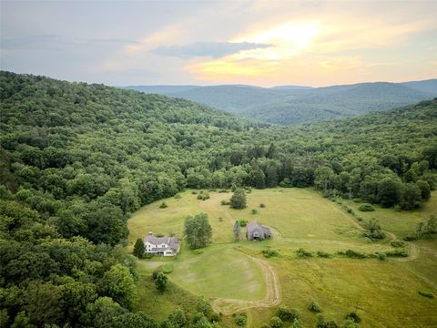 706 Elm Hollow Road Livingston Manor NY 12758