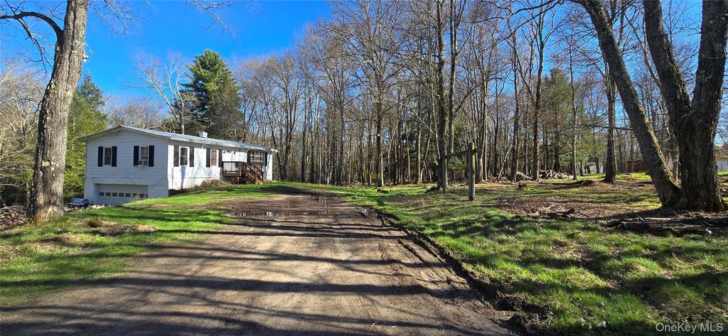 Photo of 42 Back Shandelee Road, Livingston Manor, NY 12758 (MLS # 991673)