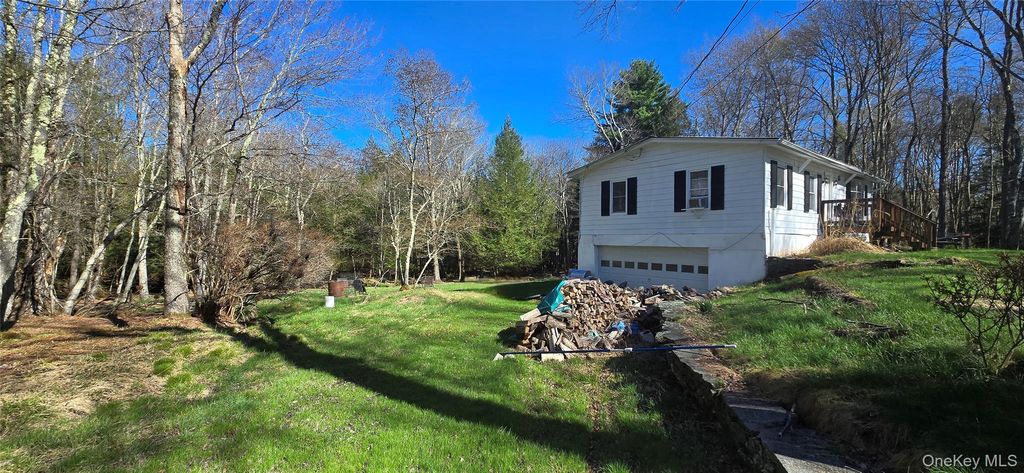 Photo of 42 Back Shandelee Road, Livingston Manor, NY 12758 (MLS # 991673)