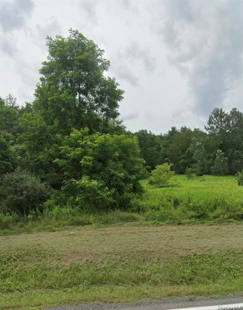 Vacant Land For Sale - 14951 State Route 23<br/> Greene County, Prattsville, NY 12468