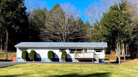 Photo of 141 Gale Road, Mongaup Valley, NY 12762 (MLS # 981445)