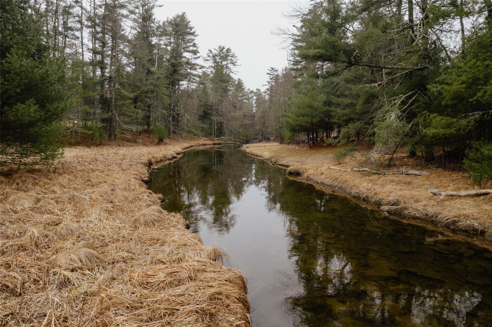 9 White Pine Lane, Barryville, New York image 29