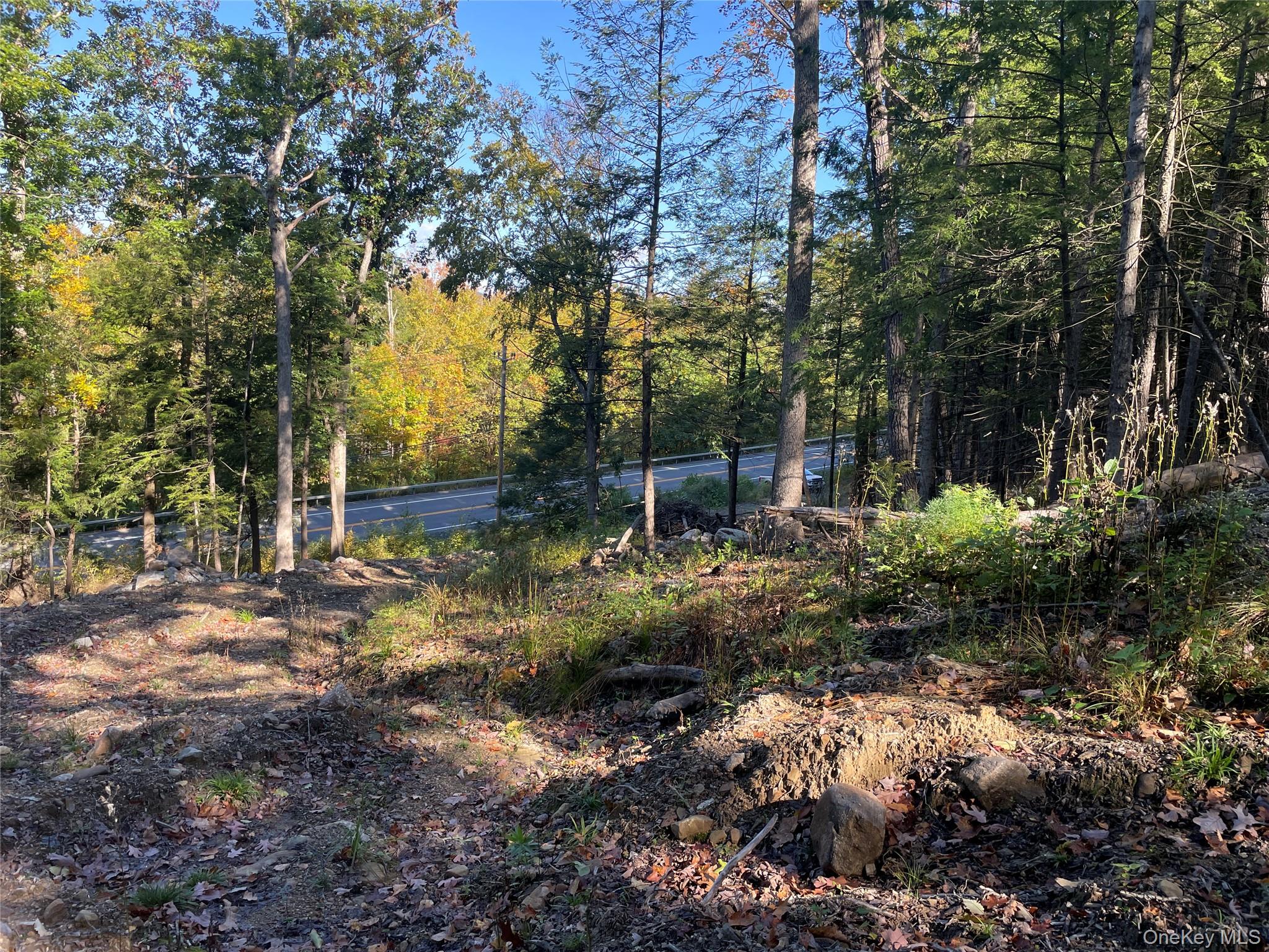 Mamakating Road