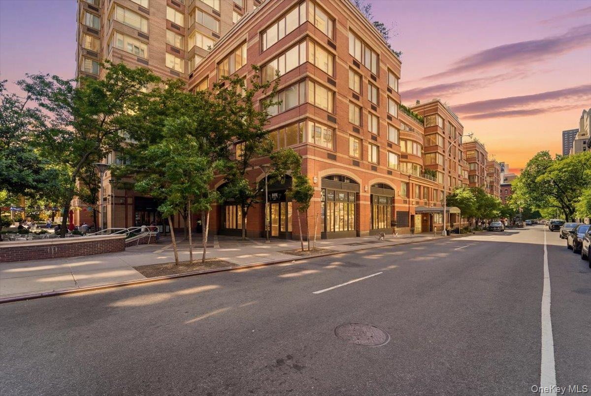 350 W 50th Street 6N