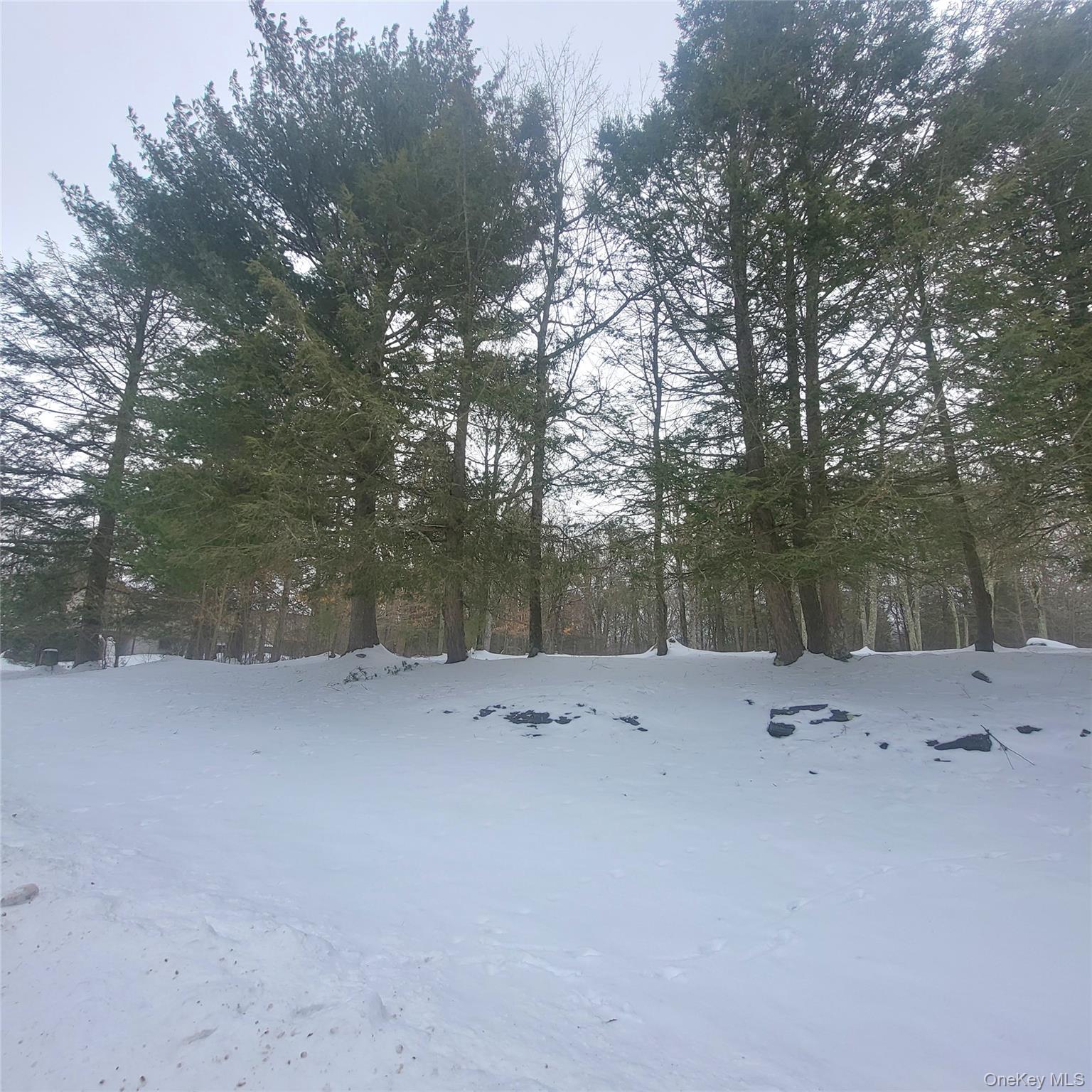 000 Roslyn Ridge Road