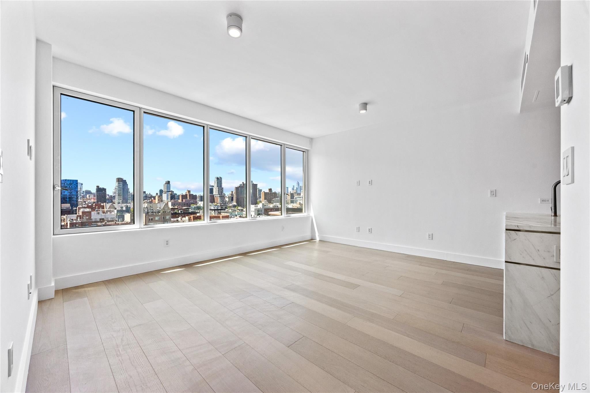 208 Delancey Street PH3