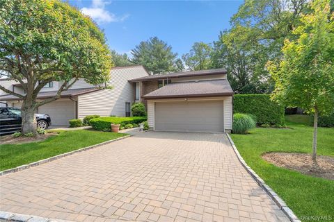 55 Maple Run Drive Jericho NY 11753