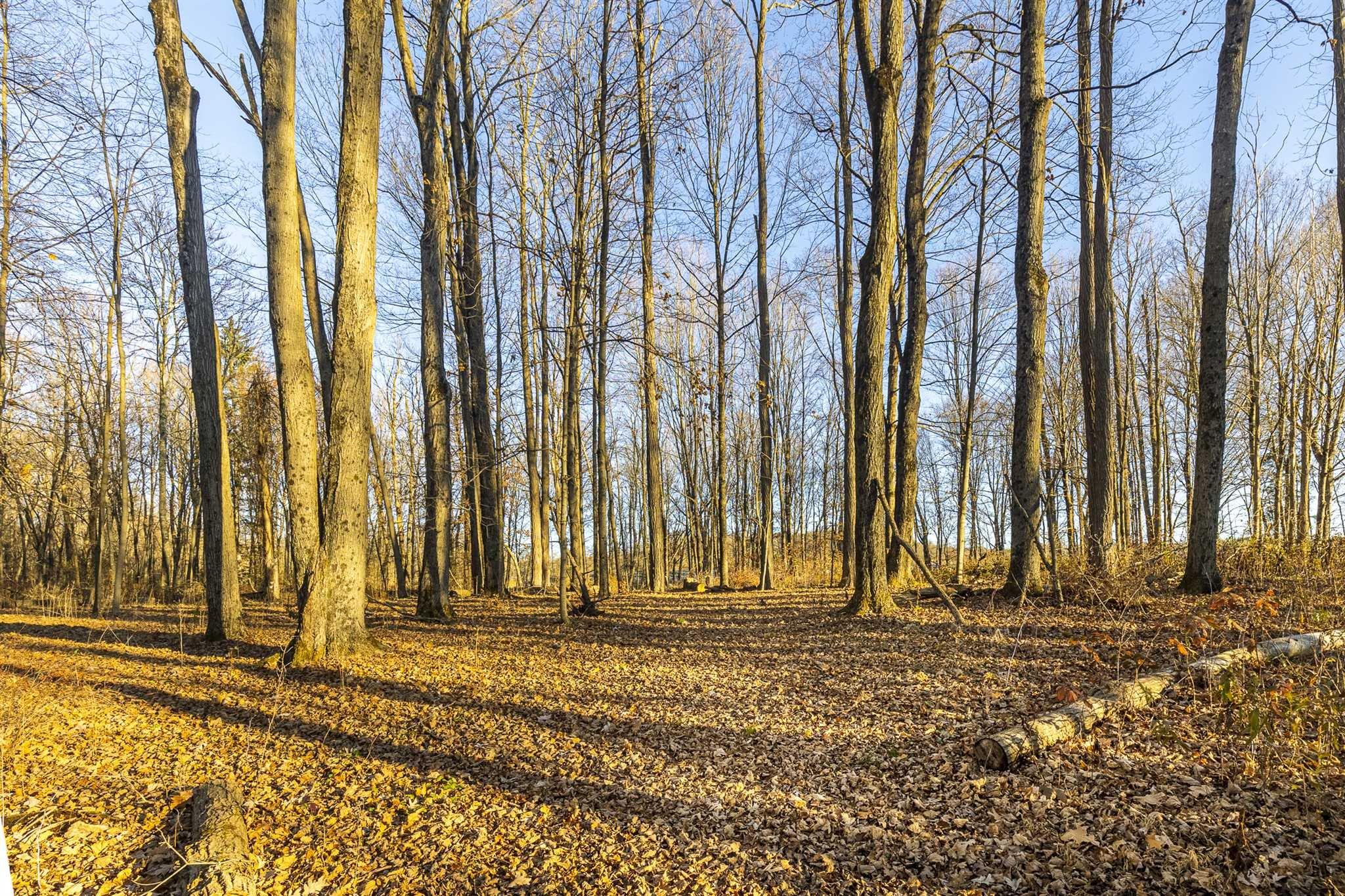 Route 82, Stanfordville, New York image 9