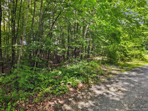 Vacant Land For Sale - Beckrick Drive<br/> Rhinebeck, NY 12572