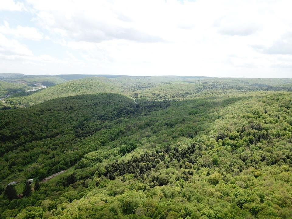 Dubois, Livingston Manor, New York image 11