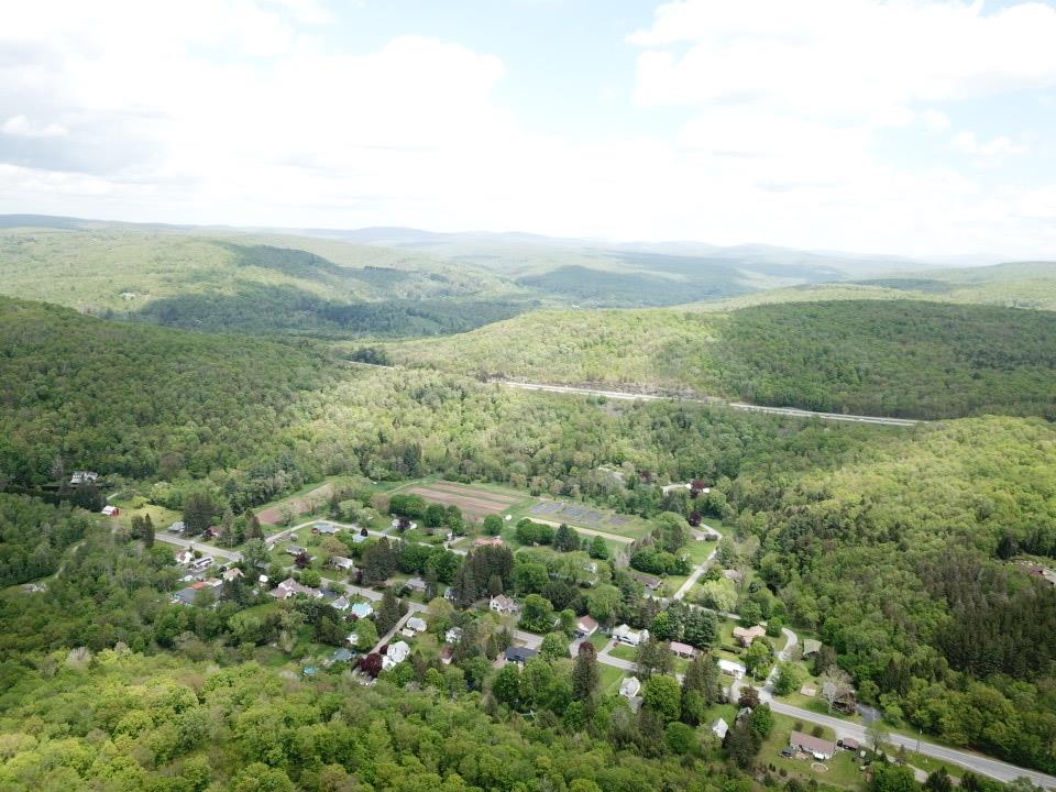 Dubois, Livingston Manor, New York image 21