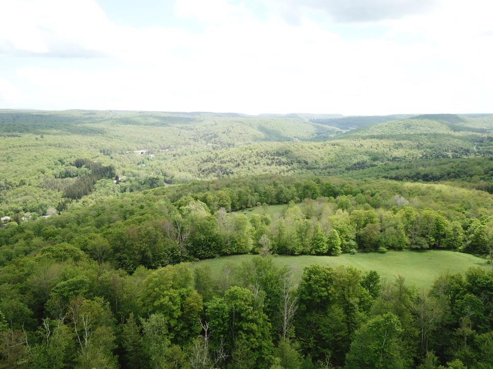 Dubois, Livingston Manor, New York image 8